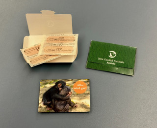 Pflaster Jane Goodall 1